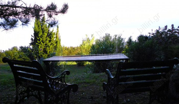 Κήπος - Garden
