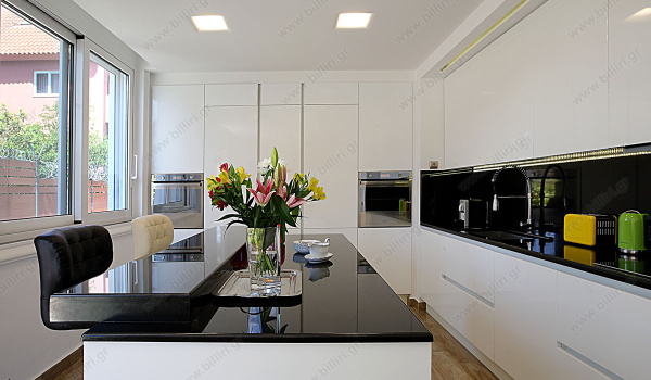 kitchen_area_1b