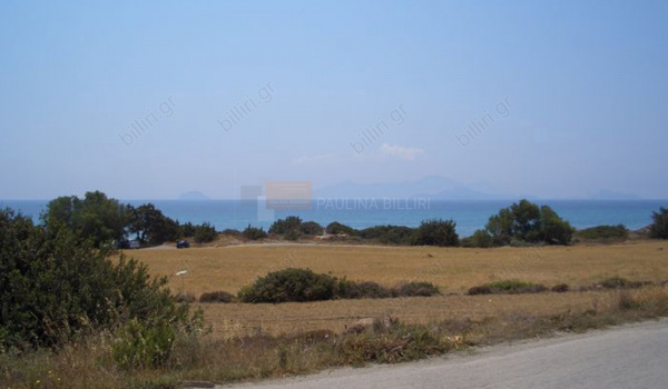 Οικόπεδο - Plot
