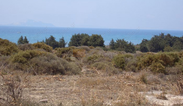 Οικόπεδο - Plot