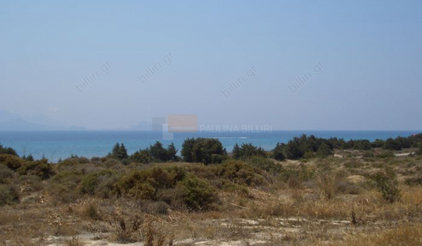 Οικόπεδο - Plot