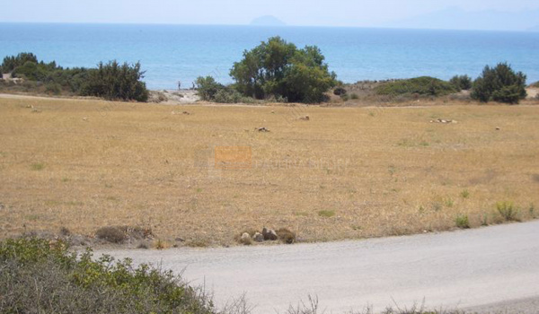 Οικόπεδο - Plot