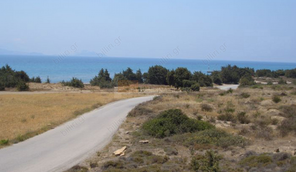 Οικόπεδο - Plot