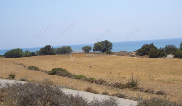Οικόπεδο - Plot