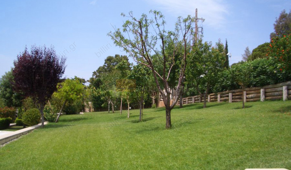 Κήπος - Garden