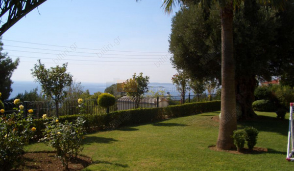 Κήπος - Garden