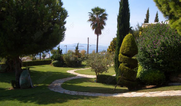 Κήπος - Garden