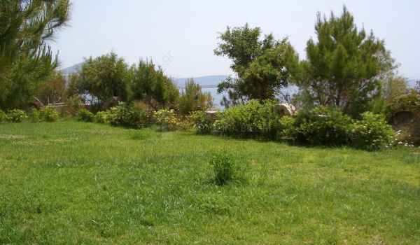 Κήπος