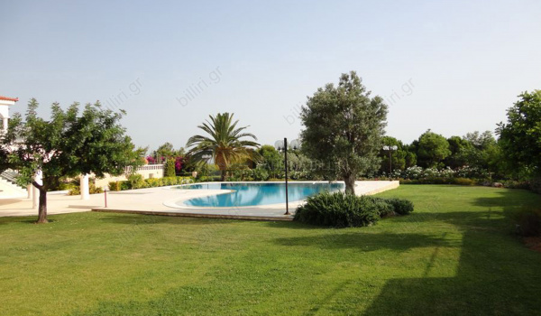 Κήπος - πισίνα . Garden - swimming pool