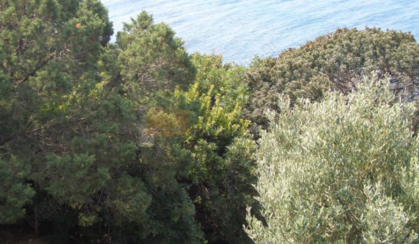Θέα - View