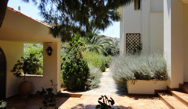 Κήπος - Garden
