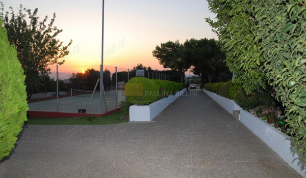 Γήπεδο