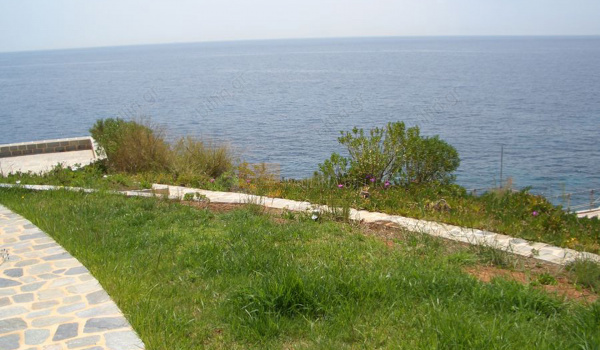 Κήπος - Garden
