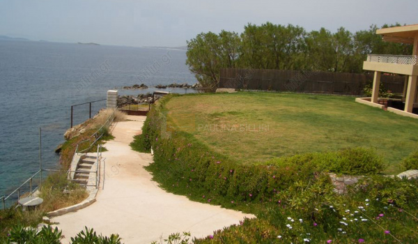 Κήπος - Garden