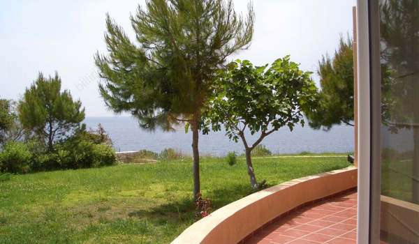Κήπος - Garden