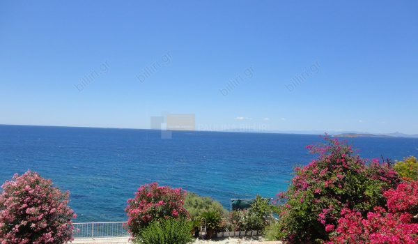 Θέα - View