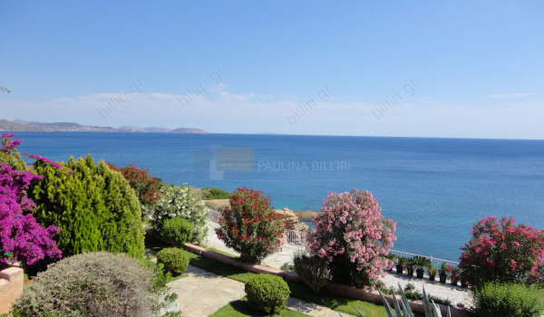 Κήπος - Garden