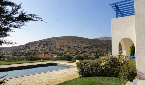 Κήπος - Garden
