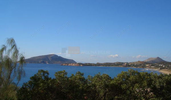 Οικόπεδο - Plot