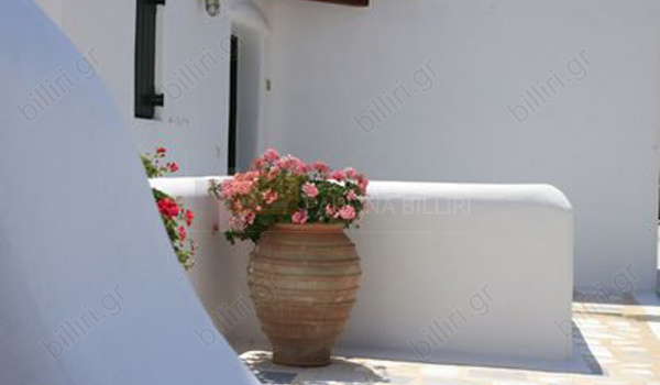 Λεπτομέρεια - Detail