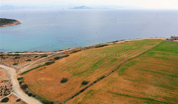 Οικόπεδο