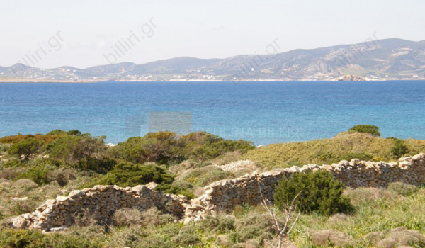 Θέα