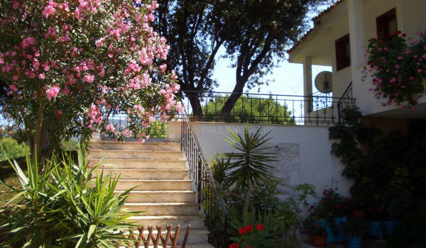 Κήπος - Garden