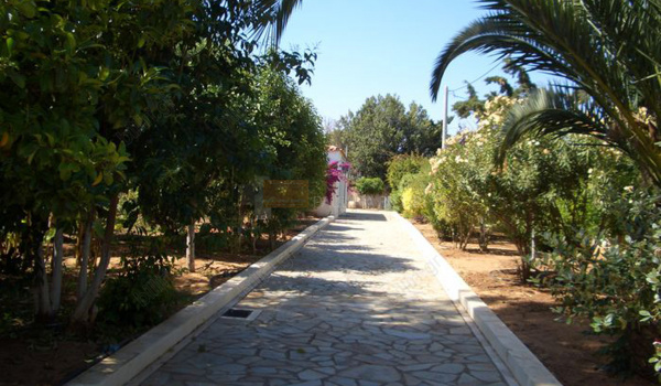 Κήπος - Garden
