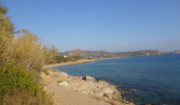 Παραλία - Beach
