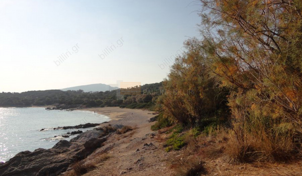 Παραλία - Beach