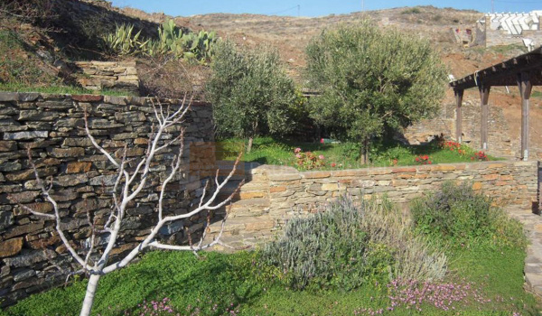 Κήπος - Garden