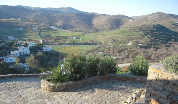 Κήπος - Garden