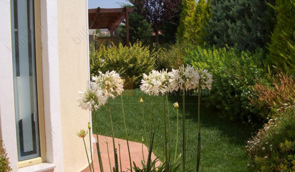 Εξωτερικός χώρος  - Outdoor view