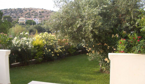 Κήπος - Garden
