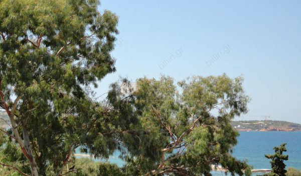 Θέα