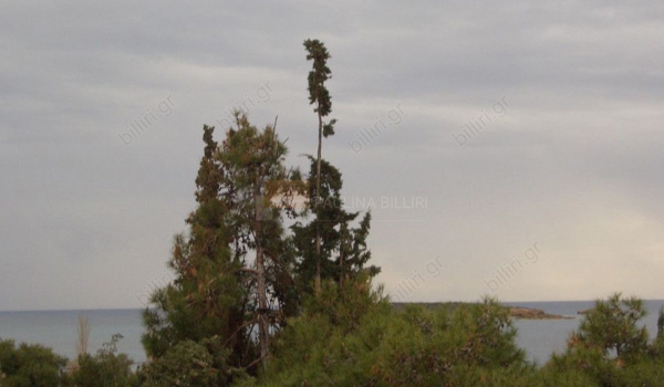 Θέα - View