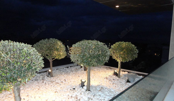 Εξωτερικός χώρος - Outdoor view