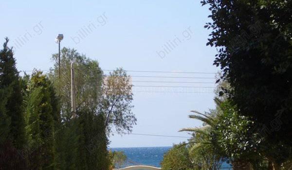 Κήπος - Garden