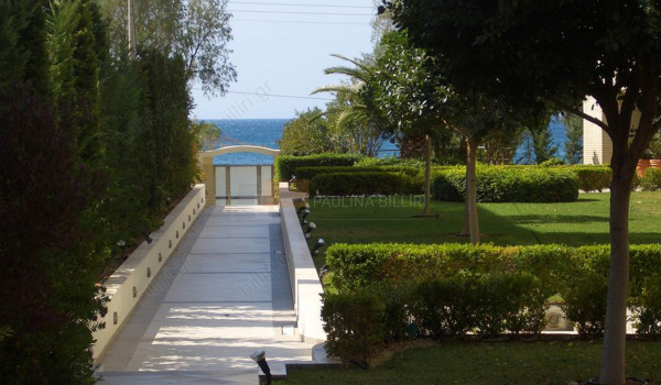 Κήπος - Garden