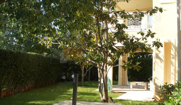 Κήπος - Garden