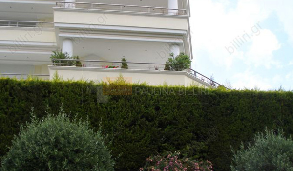 Εξωτερική όψη - Outdoor view