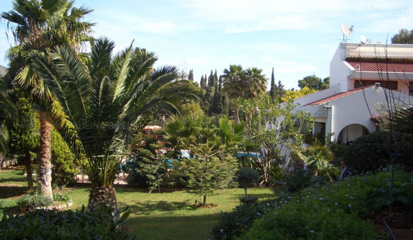 Κήπος - Garden