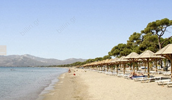 Παραλία - Beach