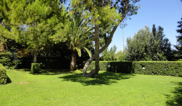 Κήπος - Garden