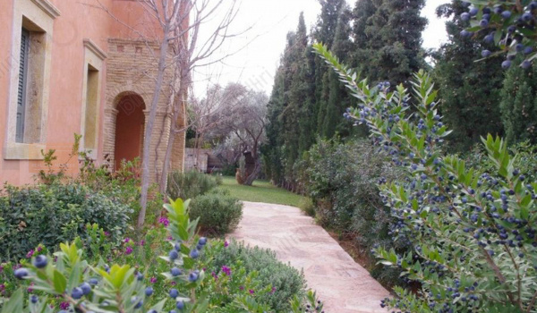 Kήπος - Garden